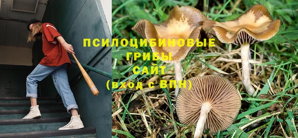 мет Касимов