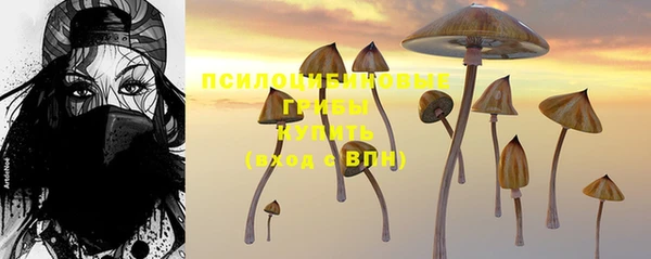 мет Касимов