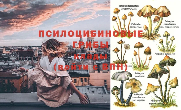 мет Касимов